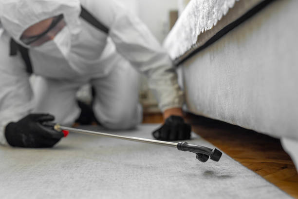 Professional Bed Bug Control technician working in Wyoming, MI