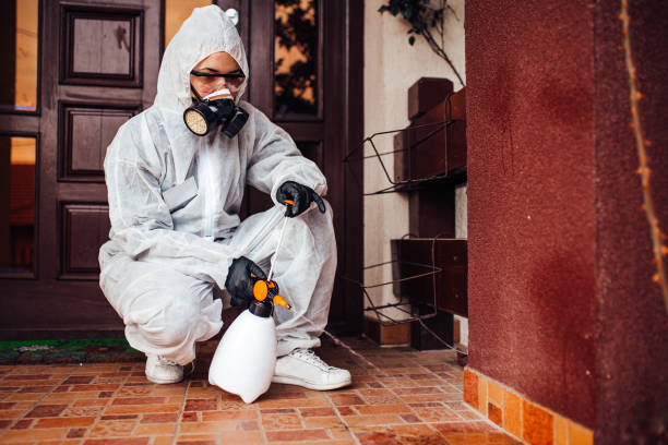 Reliable Bed Bug Control contractor in Wyoming, MI by Nex Pest Control