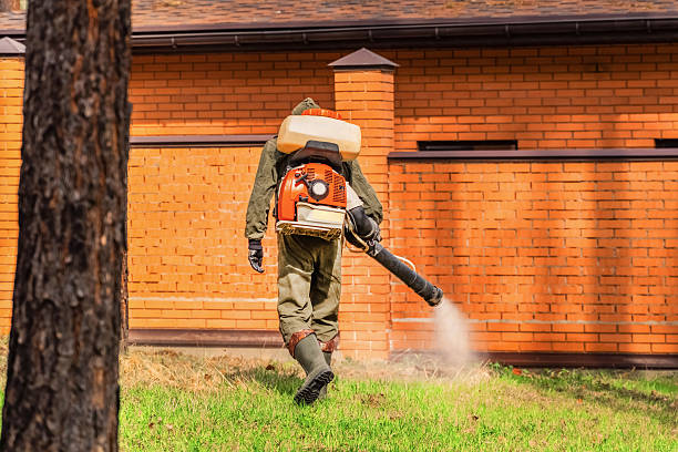 Trusted Cockroach Control service in Wyoming, MI - Nex Pest Control